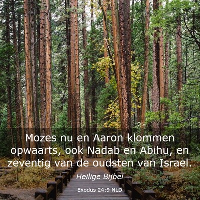 Picture 03 - Exodus 24:9 NLD - Mozes nu en Aaron klommen opwaarts, ook Nadab en - Bible Verse Picture