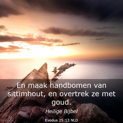 Picture 03 - Exodus 25:13 NLD - En maak handbomen van sittimhout, en overtrek ze - Bible Verse Picture