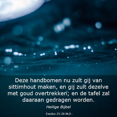 Picture 03 - Exodus 25:28 NLD - Deze handbomen nu zult gij van sittimhout maken, - Bible Verse Picture