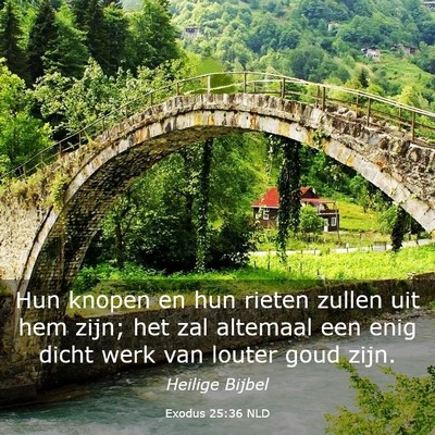 Picture 03 - Exodus 25:36 NLD - Hun knopen en hun rieten zullen uit hem zijn; het - Bible Verse Picture