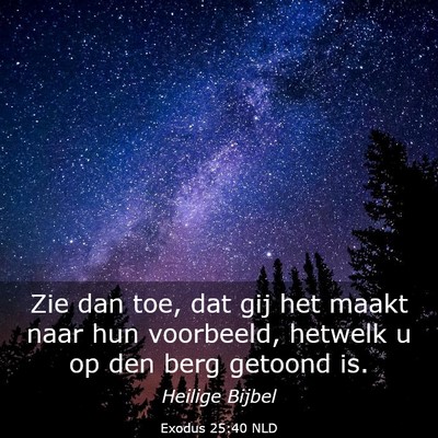 Picture 03 - Exodus 25:40 NLD - Zie dan toe, dat gij het maakt naar hun - Bible Verse Picture