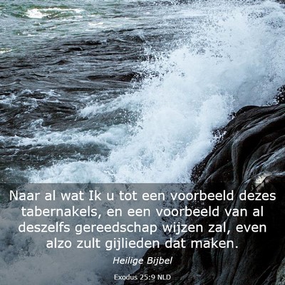 Picture 03 - Exodus 25:9 NLD - Naar al wat Ik u tot een voorbeeld dezes - Bible Verse Picture