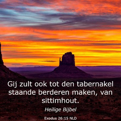 Picture 03 - Exodus 26:15 NLD - Gij zult ook tot den tabernakel staande berderen - Bible Verse Picture