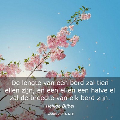 Picture 03 - Exodus 26:16 NLD - De lengte van een berd zal tien ellen zijn, en - Bible Verse Picture