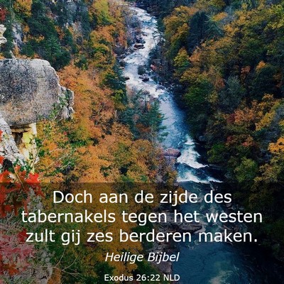 Picture 03 - Exodus 26:22 NLD - Doch aan de zijde des tabernakels tegen het - Bible Verse Picture