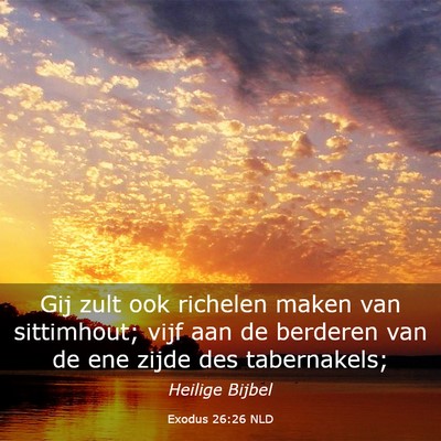 Picture 03 - Exodus 26:26 NLD - Gij zult ook richelen maken van sittimhout; vijf - Bible Verse Picture