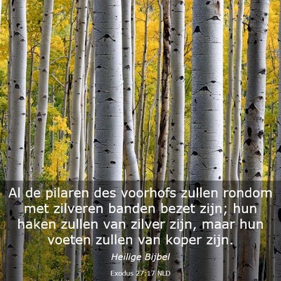 Picture 03 - Exodus 27:17 NLD - Al de pilaren des voorhofs zullen rondom met - Bible Verse Picture