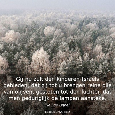 Picture 03 - Exodus 27:20 NLD - Gij nu zult den kinderen Israels gebieden, dat - Bible Verse Picture