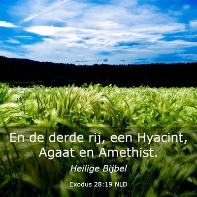 Picture 03 - Exodus 28:19 NLD - En de derde rij, een Hyacint, Agaat en - Bible Verse Picture