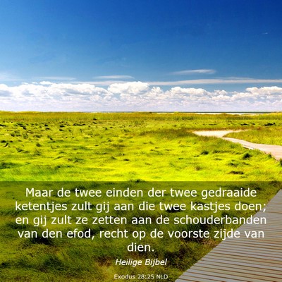 Picture 03 - Exodus 28:25 NLD - Maar de twee einden der twee gedraaide ketentjes - Bible Verse Picture