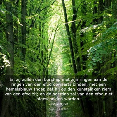 Picture 03 - Exodus 28:28 NLD - En zij zullen den borstlap met zijn ringen aan de - Bible Verse Picture