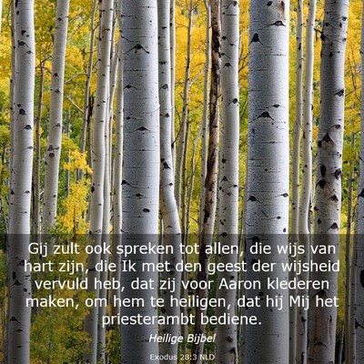 Picture 03 - Exodus 28:3 NLD - Gij zult ook spreken tot allen, die wijs van hart - Bible Verse Picture