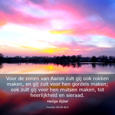 Picture 03 - Exodus 28:40 NLD - Voor de zonen van Aaron zult gij ook rokken - Bible Verse Picture