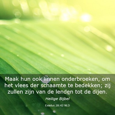Picture 03 - Exodus 28:42 NLD - Maak hun ook linnen onderbroeken, om het vlees - Bible Verse Picture