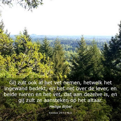 Picture 03 - Exodus 29:13 NLD - Gij zult ook al het vet nemen, hetwelk het - Bible Verse Picture