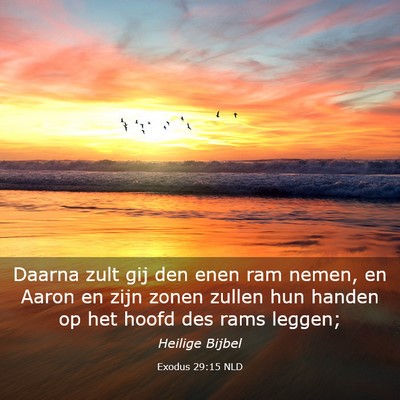 Picture 03 - Exodus 29:15 NLD - Daarna zult gij den enen ram nemen, en Aaron en - Bible Verse Picture