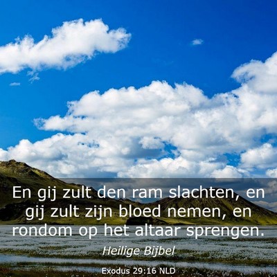 Picture 03 - Exodus 29:16 NLD - En gij zult den ram slachten, en gij zult zijn - Bible Verse Picture