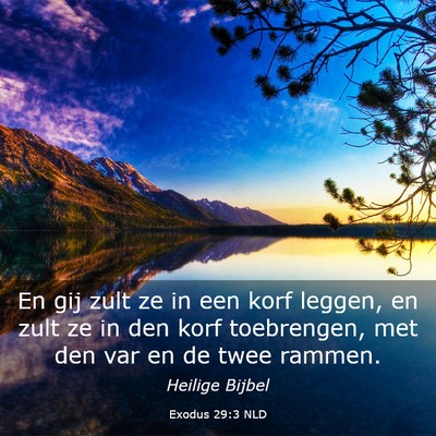Picture 03 - Exodus 29:3 NLD - En gij zult ze in een korf leggen, en zult ze in - Bible Verse Picture