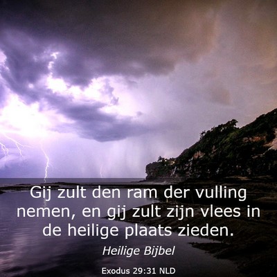Picture 03 - Exodus 29:31 NLD - Gij zult den ram der vulling nemen, en gij zult - Bible Verse Picture