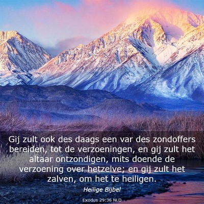 Picture 03 - Exodus 29:36 NLD - Gij zult ook des daags een var des zondoffers - Bible Verse Picture