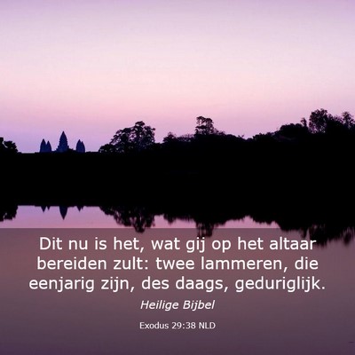 Picture 03 - Exodus 29:38 NLD - Dit nu is het, wat gij op het altaar bereiden - Bible Verse Picture