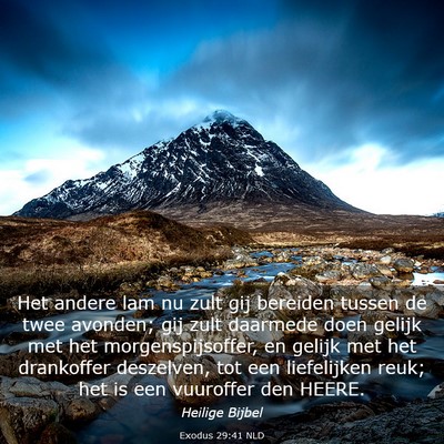 Picture 03 - Exodus 29:41 NLD - Het andere lam nu zult gij bereiden tussen de - Bible Verse Picture