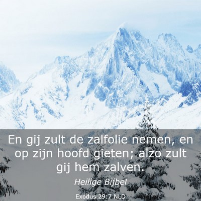 Picture 03 - Exodus 29:7 NLD - En gij zult de zalfolie nemen, en op zijn hoofd - Bible Verse Picture