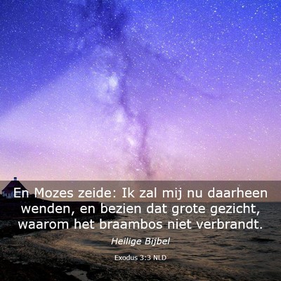 Picture 03 - Exodus 3:3 NLD - En Mozes zeide: Ik zal mij nu daarheen wenden, en - Bible Verse Picture