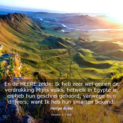 Picture 03 - Exodus 3:7 NLD - En de HEERE zeide: Ik heb zeer wel gezien de - Bible Verse Picture