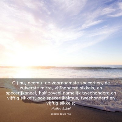 Picture 03 - Exodus 30:23 NLD - Gij nu, neem u de voornaamste specerijen, de - Bible Verse Picture