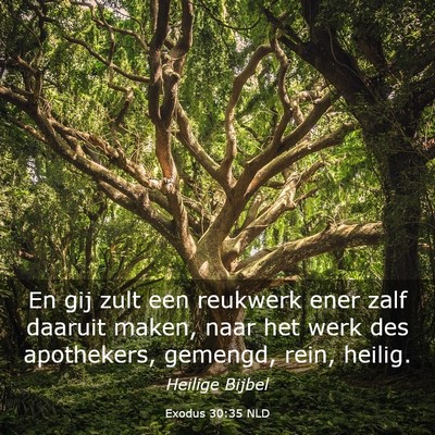 Picture 03 - Exodus 30:35 NLD - En gij zult een reukwerk ener zalf daaruit maken, - Bible Verse Picture