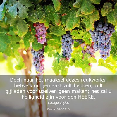 Picture 03 - Exodus 30:37 NLD - Doch naar het maaksel dezes reukwerks, hetwelk - Bible Verse Picture