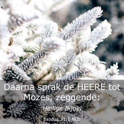 Picture 03 - Exodus 31:1 NLD - Daarna sprak de HEERE tot Mozes, - Bible Verse Picture