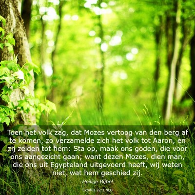 Picture 03 - Exodus 32:1 NLD - Toen het volk zag, dat Mozes vertoog van den berg - Bible Verse Picture