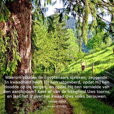 Picture 03 - Exodus 32:12 NLD - Waarom zouden de Egyptenaars spreken, zeggende: - Bible Verse Picture