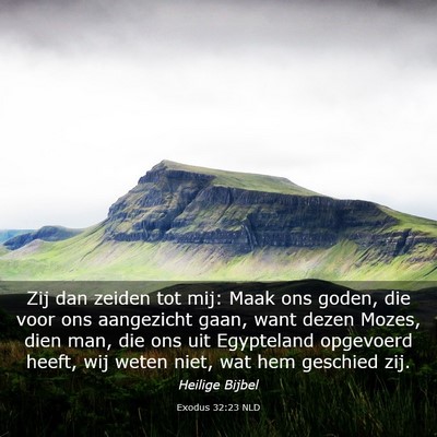 Picture 03 - Exodus 32:23 NLD - Zij dan zeiden tot mij: Maak ons goden, die voor - Bible Verse Picture