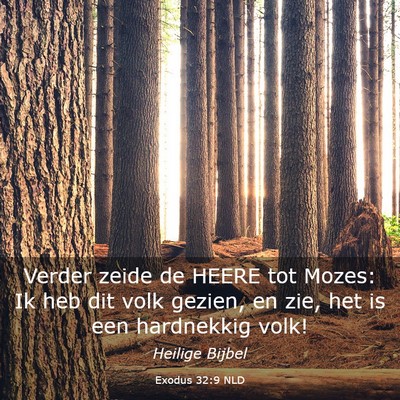Picture 03 - Exodus 32:9 NLD - Verder zeide de HEERE tot Mozes: Ik heb dit volk - Bible Verse Picture