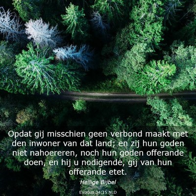 Picture 03 - Exodus 34:15 NLD - Opdat gij misschien geen verbond maakt met den - Bible Verse Picture