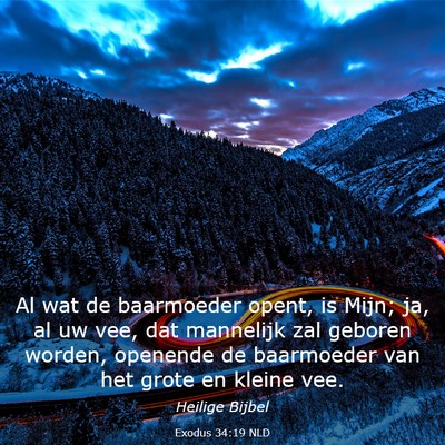 Picture 03 - Exodus 34:19 NLD - Al wat de baarmoeder opent, is Mijn; ja, al uw - Bible Verse Picture