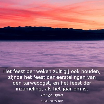 Picture 03 - Exodus 34:22 NLD - Het feest der weken zult gij ook houden, zijnde - Bible Verse Picture