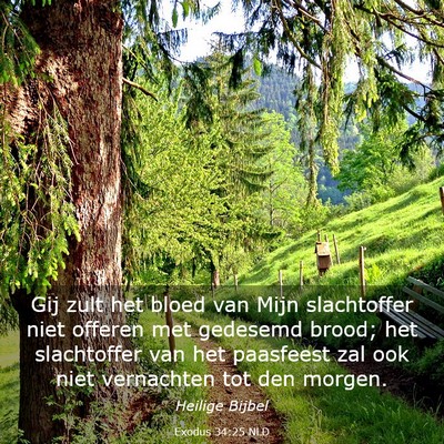 Picture 03 - Exodus 34:25 NLD - Gij zult het bloed van Mijn slachtoffer niet - Bible Verse Picture