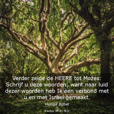 Picture 03 - Exodus 34:27 NLD - Verder zeide de HEERE tot Mozes: Schrijf u deze - Bible Verse Picture