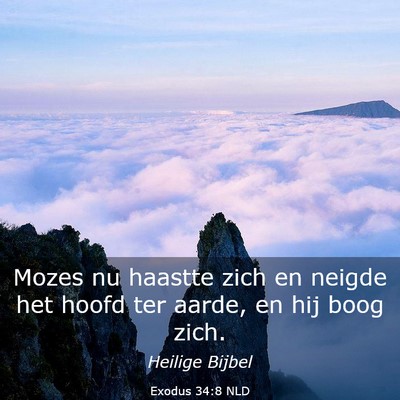Picture 03 - Exodus 34:8 NLD - Mozes nu haastte zich en neigde het hoofd ter - Bible Verse Picture