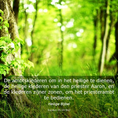 Picture 03 - Exodus 35:19 NLD - De ambtsklederen om in het heilige te dienen, de - Bible Verse Picture