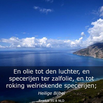 Picture 03 - Exodus 35:8 NLD - En olie tot den luchter, en specerijen ter - Bible Verse Picture