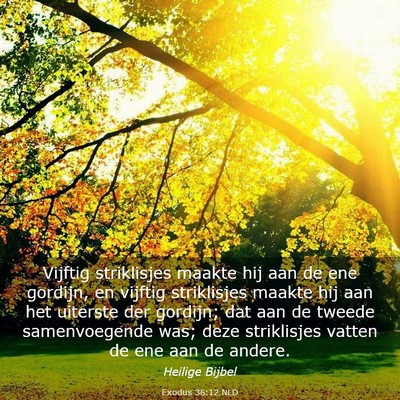 Picture 03 - Exodus 36:12 NLD - Vijftig striklisjes maakte hij aan de ene - Bible Verse Picture