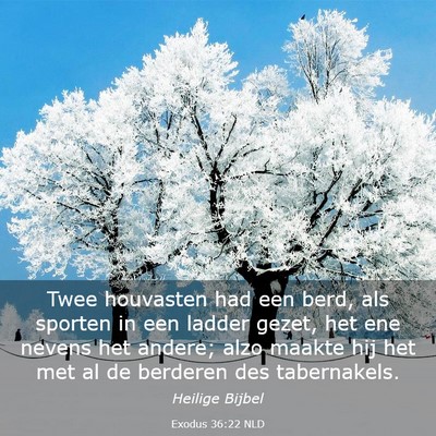Picture 03 - Exodus 36:22 NLD - Twee houvasten had een berd, als sporten in een - Bible Verse Picture