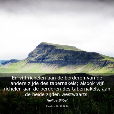 Picture 03 - Exodus 36:32 NLD - En vijf richelen aan de berderen van de andere - Bible Verse Picture