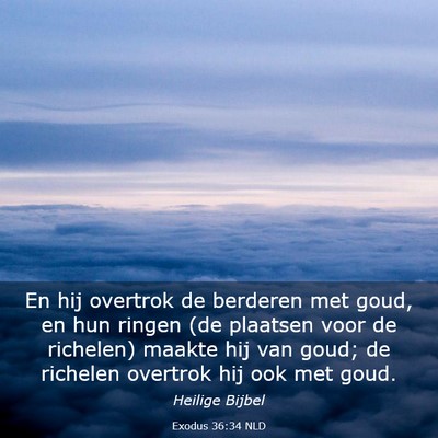 Picture 03 - Exodus 36:34 NLD - En hij overtrok de berderen met goud, en hun - Bible Verse Picture