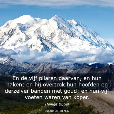 Picture 03 - Exodus 36:38 NLD - En de vijf pilaren daarvan, en hun haken; en hij - Bible Verse Picture